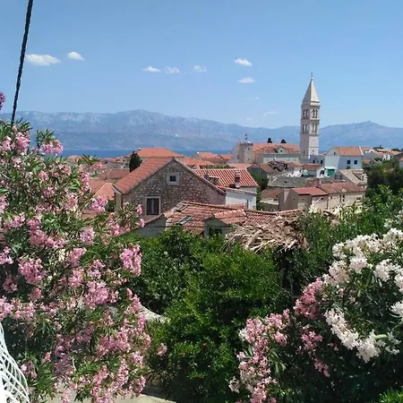 Central Studio & Dormitory Διαμέρισμα *