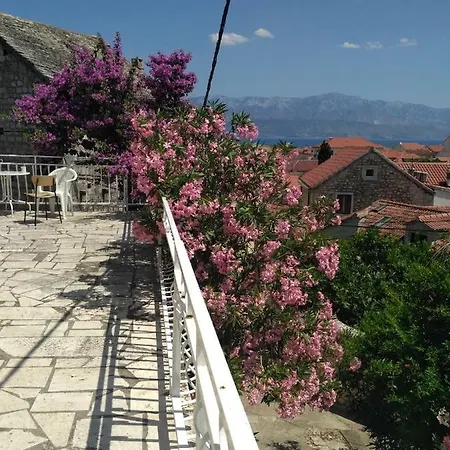 Central Studio & Dormitory Διαμέρισμα