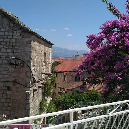 Central Studio & Dormitory Daire